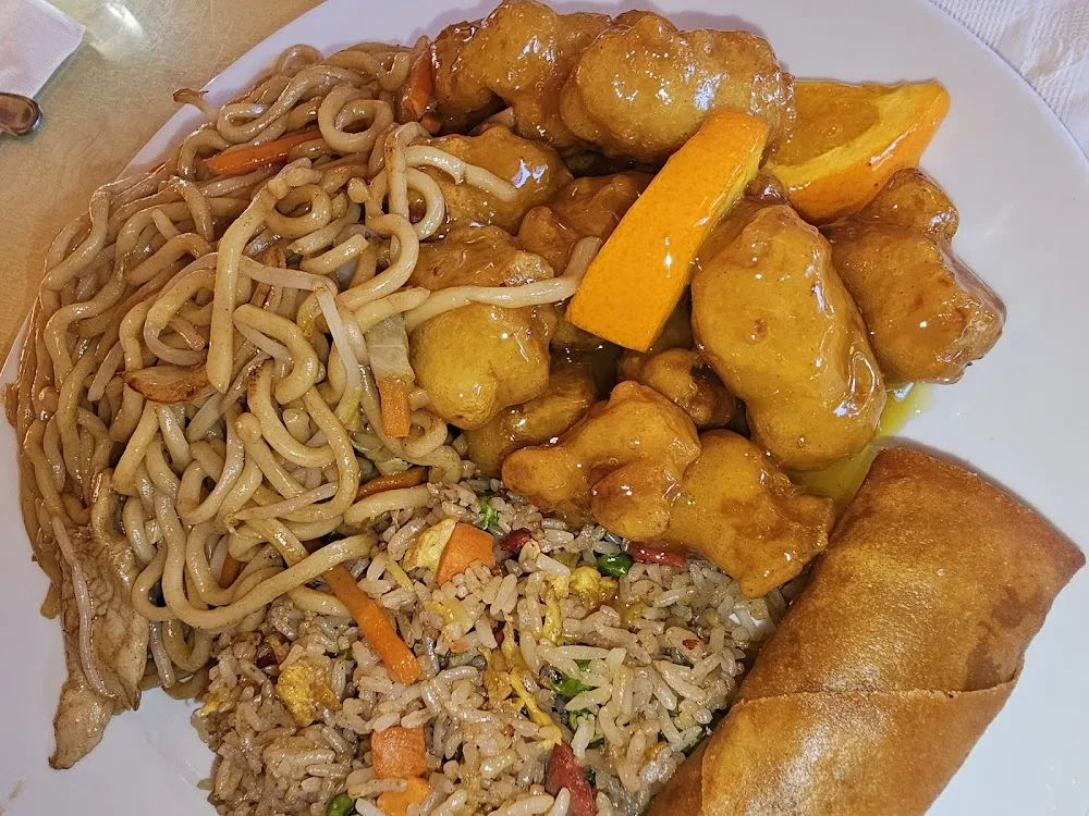 Dinner 6 Pork Fried Rice Chicken Chow Mein Egg Roll and Orange Chicken